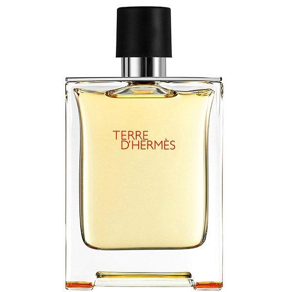 تق هرمس Terre dHermes Parfum